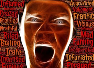 Temperamento y personalidad (parte 1)