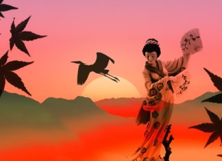 Japón y sus curiosidades