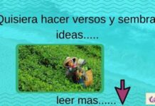 Pensamientos Rosur – # 138 —