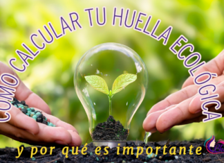 Cómo calcular tu huella ecológica y por qué es importante