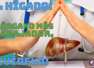 El hígado: su órgano más trabajador, ¡cuídelo!