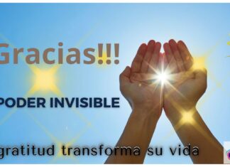 El poder invisible: cómo la gratitud transforma su vida