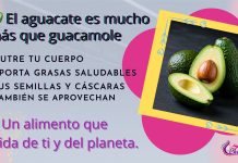 Más allá del guacamole: propiedades saludables del aguacate y la segunda vida de sus residuos