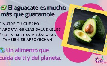 Más allá del guacamole: propiedades saludables del aguacate y la segunda vida de sus residuos