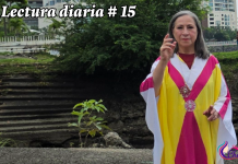 Lectura diaria # 15
