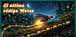 El último código Morse: Cómo la contaminación lumínica está apagando a las luciérnagas